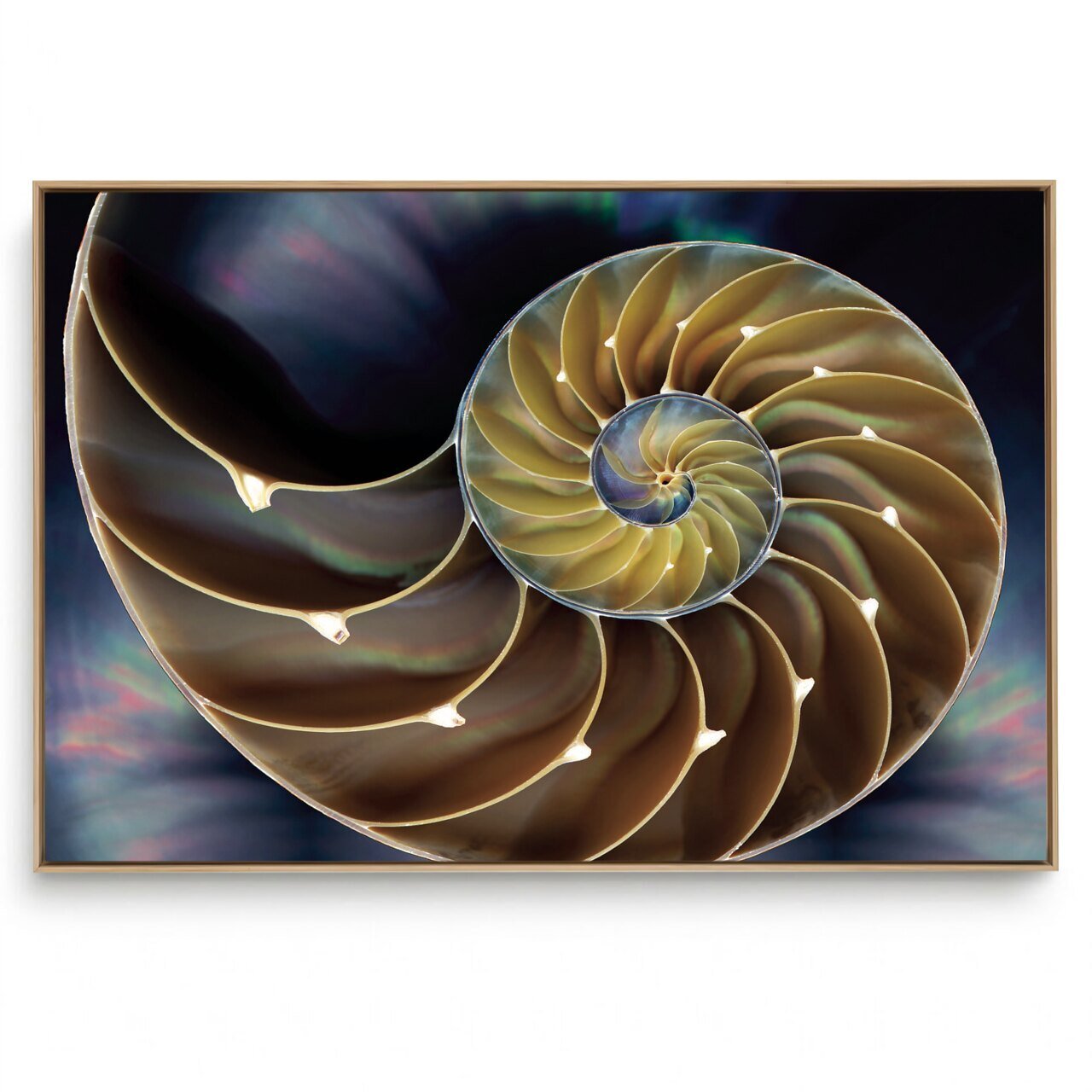 Quadro Decorativo Abstrato  Concha
