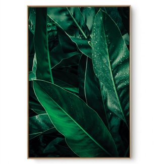 Quadro Decorativo Folhagem