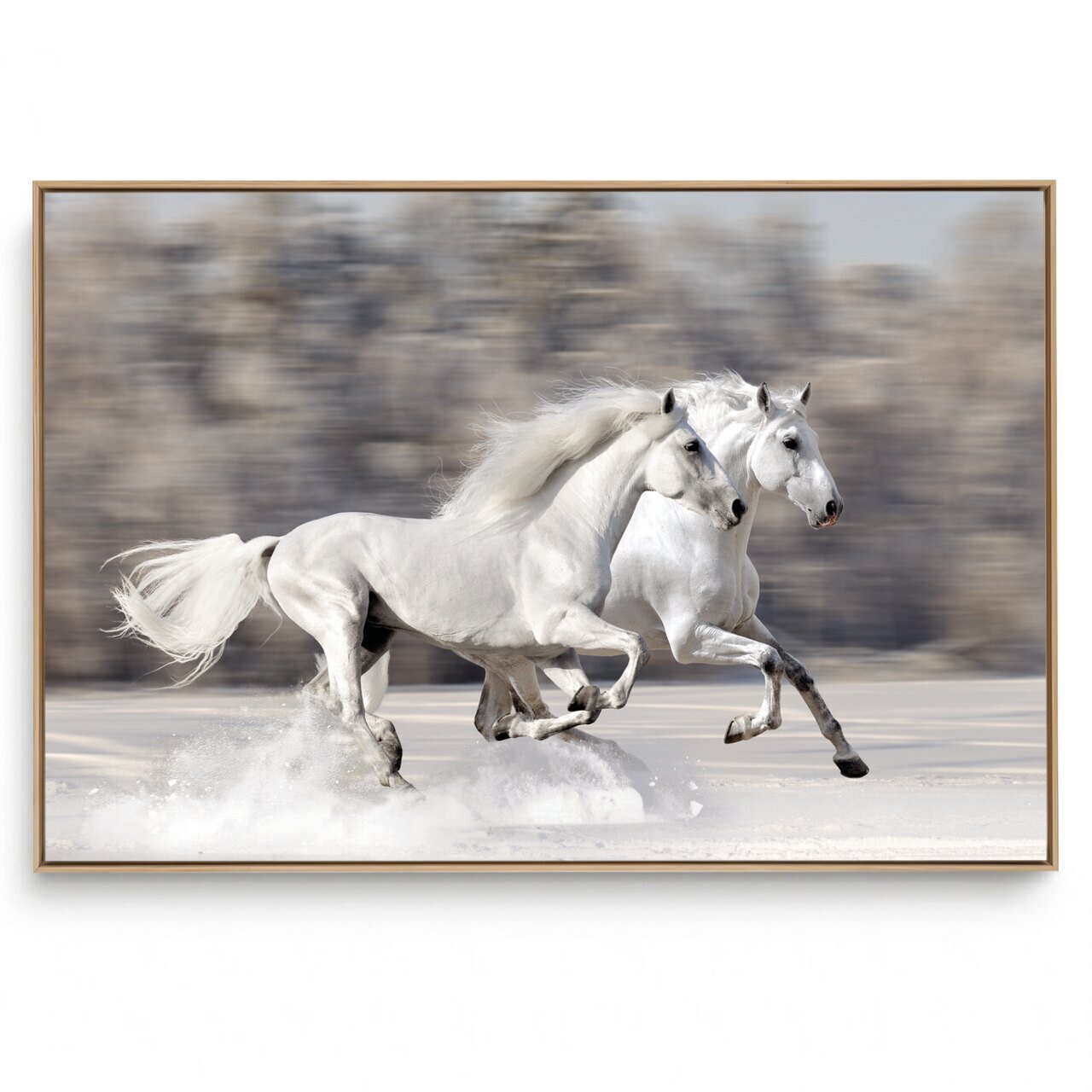 Quadro Decorativo Cavalo Branco