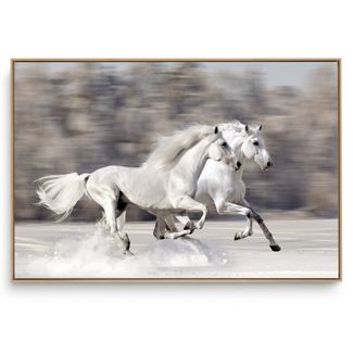 Quadro Decorativo Cavalo Branco