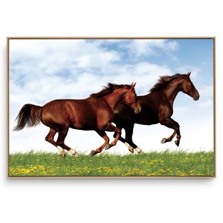 Quadro Decorativo Animais Cavalo X