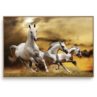 Quadro Decorativo Animais Cavalo XII