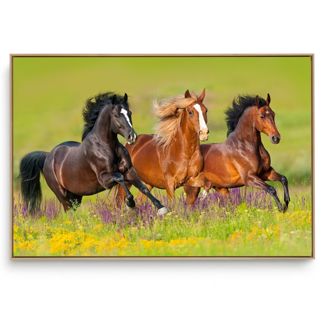Quadro Decorativo Cavalo XIV