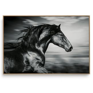 Quadro Decorativo Cavalo XV