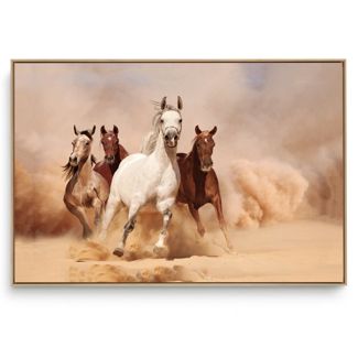 Quadro Decorativo Animais Cavalo IX