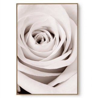 Quadro Decorativo Rosa Bege