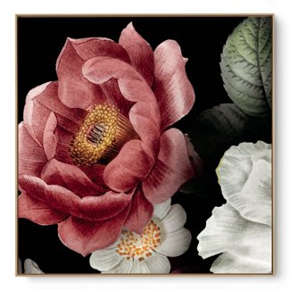 Quadro Decorativo Camélia Rosa I
