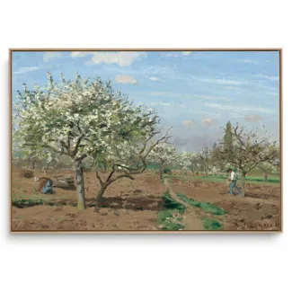 Quadro Decorativo Reprodução Pintores - Camille Pissarro -Ochard In Bloom
