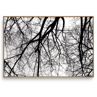 Quadro Decorativo Galhos Preto e Branco