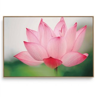 Quadro Decorativo Oriental Lótus Rosa
