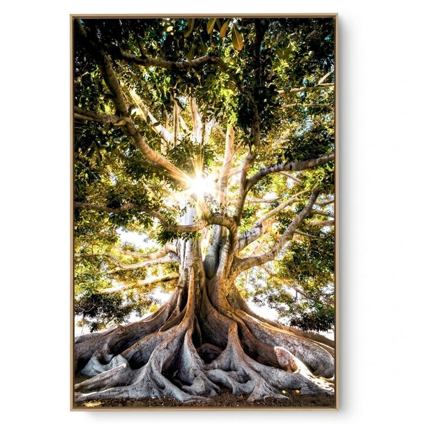Quadro Decorativo Árvore Raiz Única