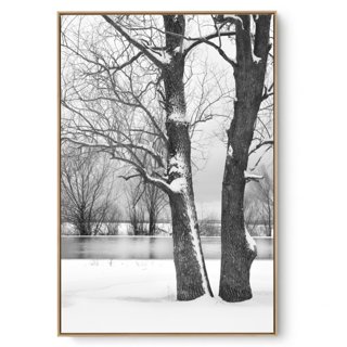 Quadro Decorativo Árvore na Neve I