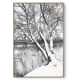 Quadro Decorativo Árvore na Neve II