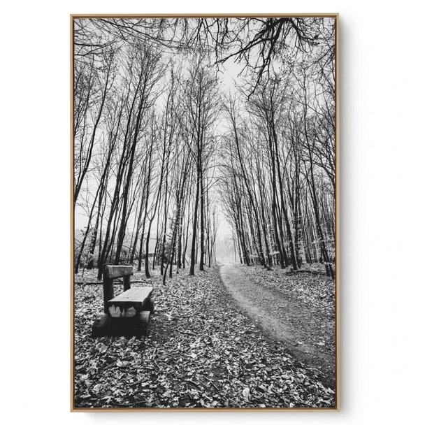 Quadro Decorativo Árvore na Neve III