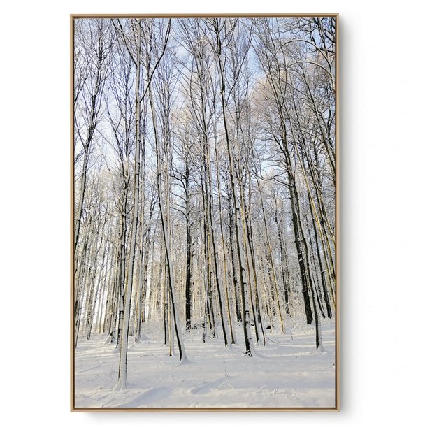 Quadro Decorativo Árvore na Neve VI