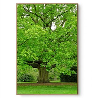 Quadro Decorativo Árvore V 1