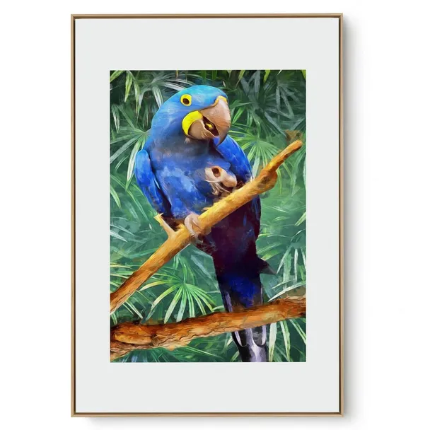 Quadro Decorativo Ave Brasileira II