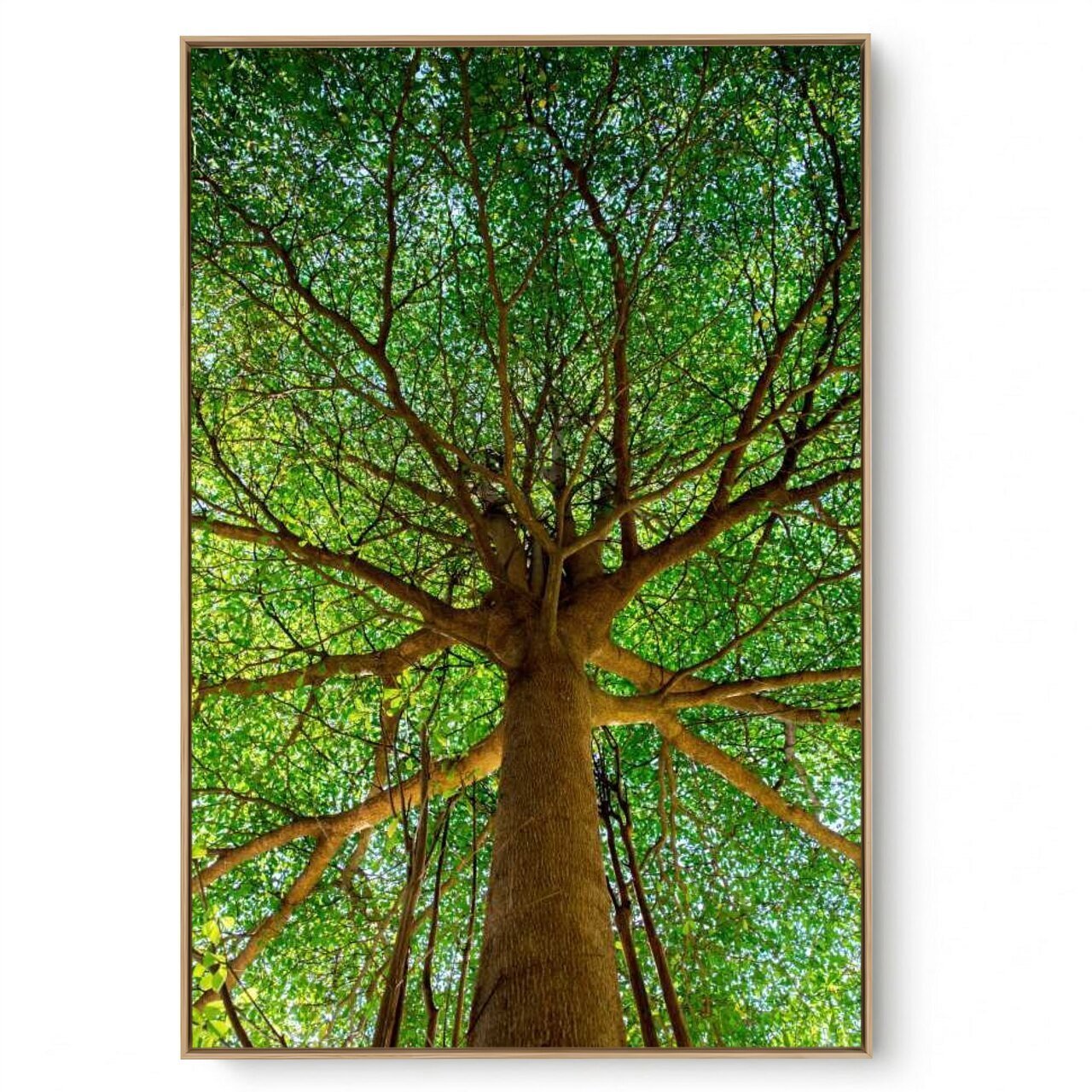 Quadro Decorativo Árvore V4