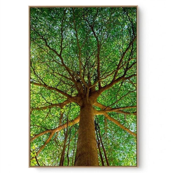 Quadro Decorativo Árvore V4