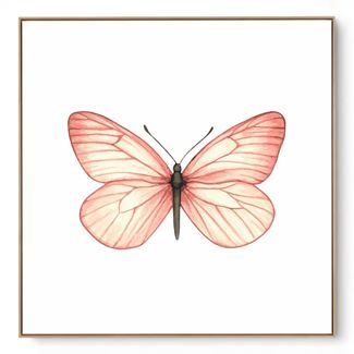 Quadro Decorativo Borboleta Suave I