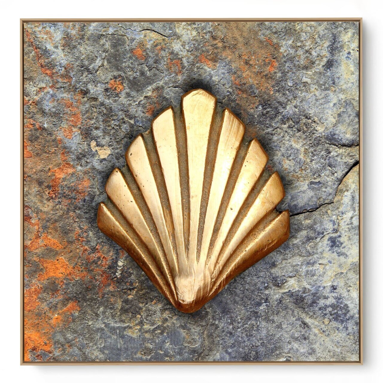 Quadro Decorativo Concha II