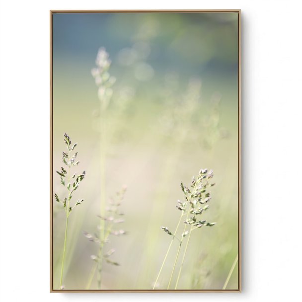 Quadro Decorativo Campo Verde Suave II