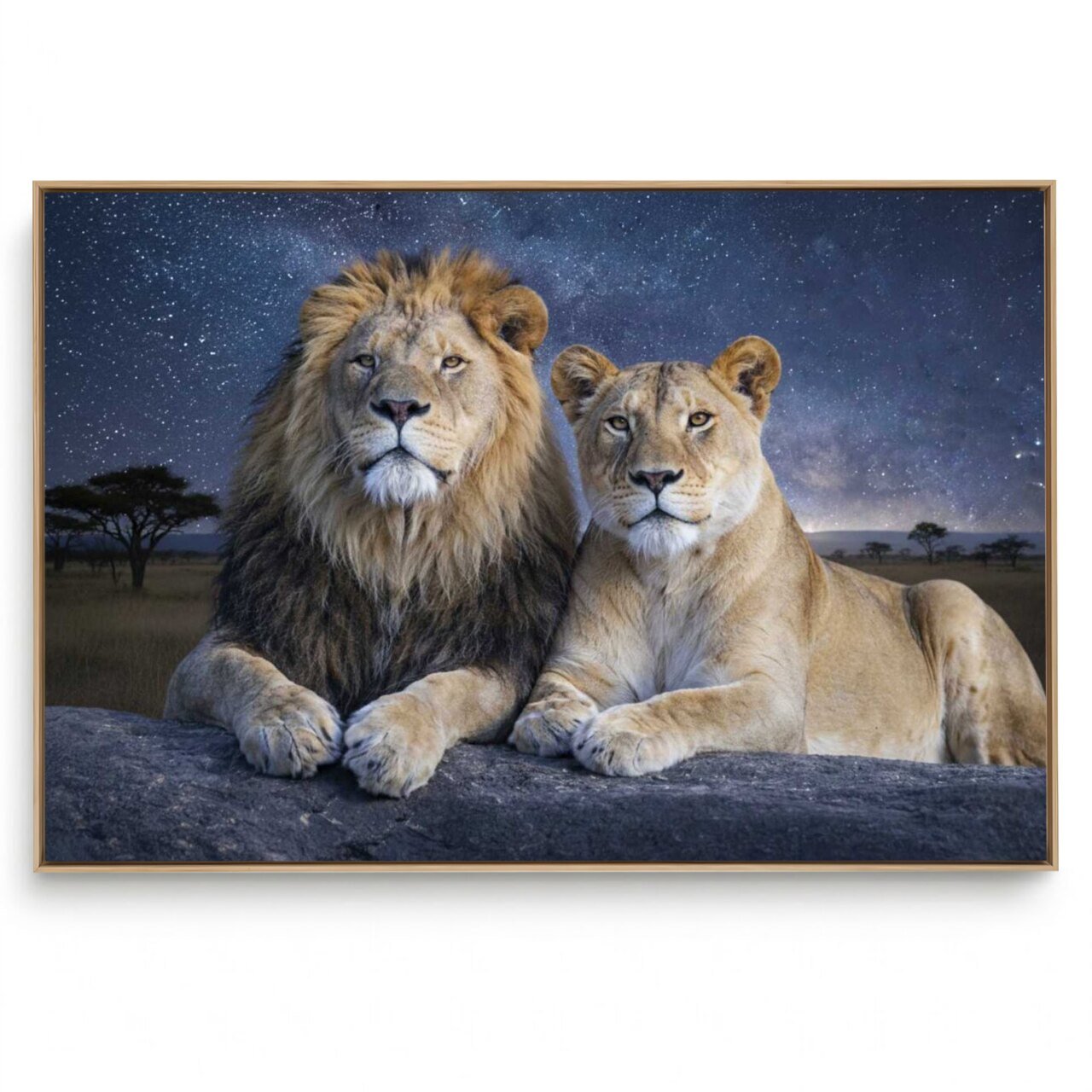 Quadro Decorativo Casal Leão II
