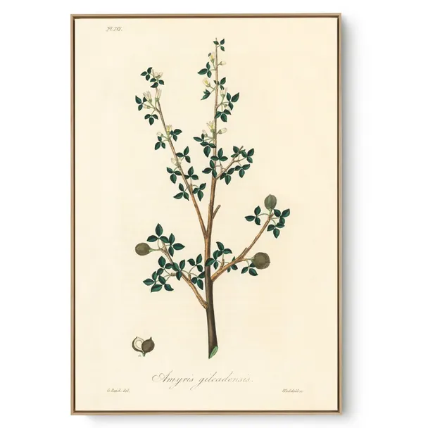 Quadro Decorativo Cozinha Aroma I
