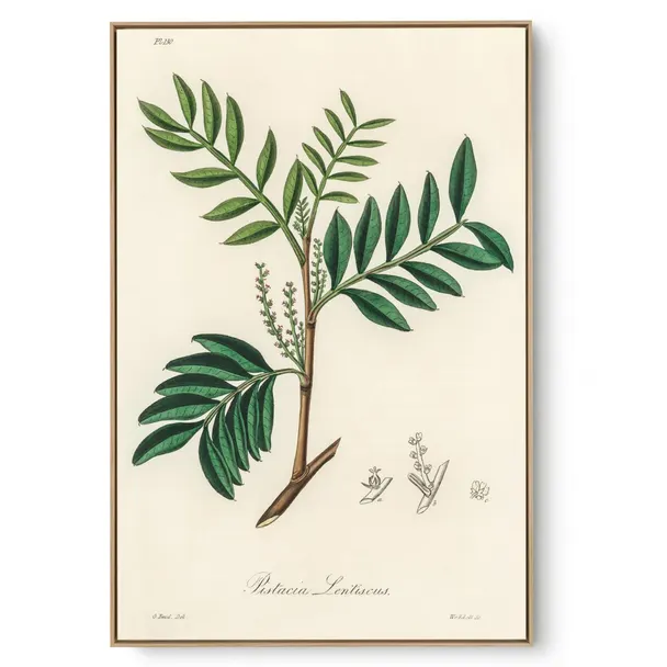 Quadro Decorativo Cozinha Aroma III