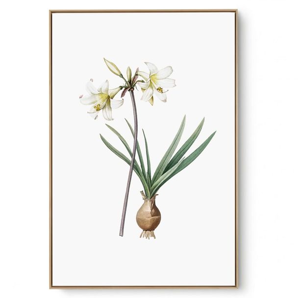 Quadro Decorativo Cozinha Cebolinha II