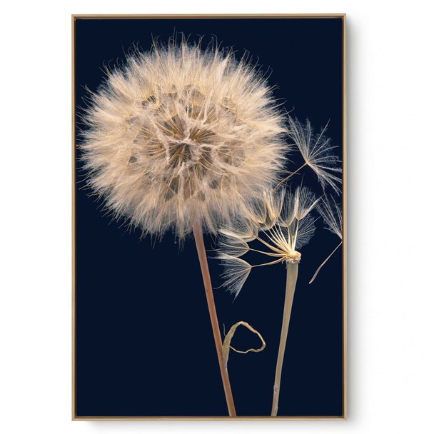 Quadro Decorativo Dente de Leão X