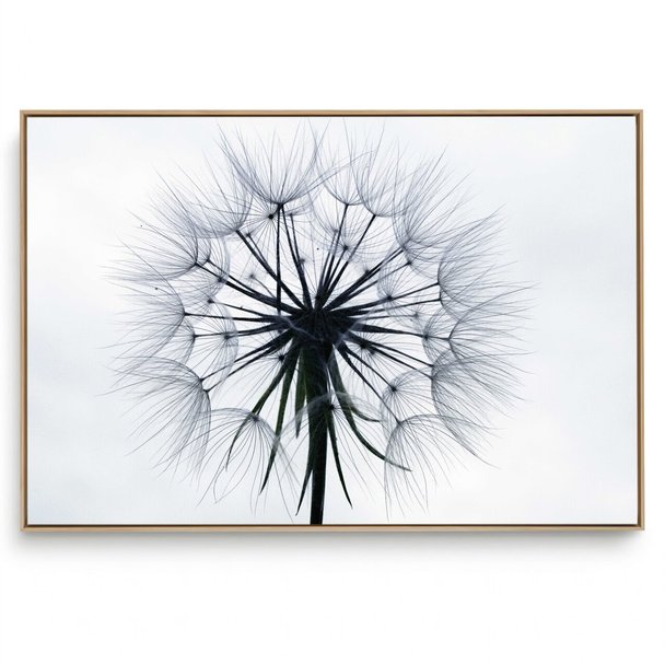 Quadro Decorativo Dente de Leão XI