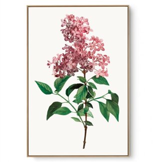 Quadro Decorativo Flor Bela