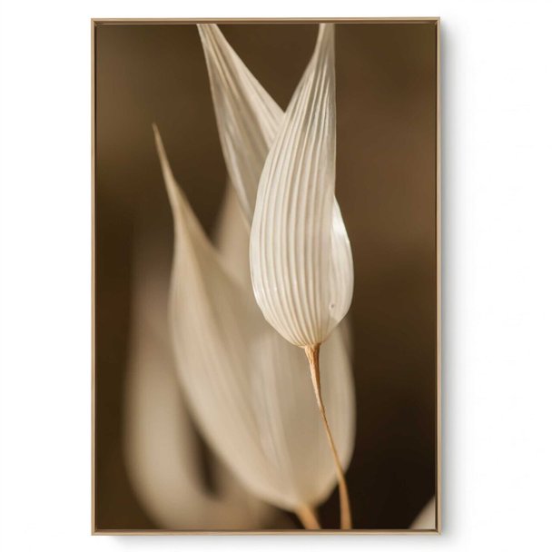 Quadro Decorativo Flor Close II