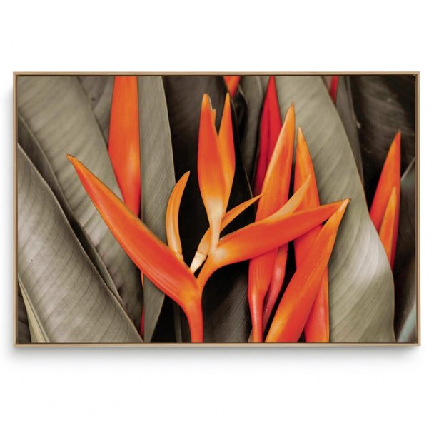 Quadro Decorativo Floral Estrelítzia