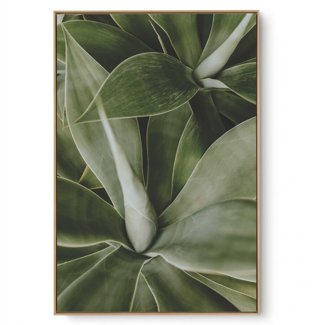 Quadro Decorativo Folhas em Close