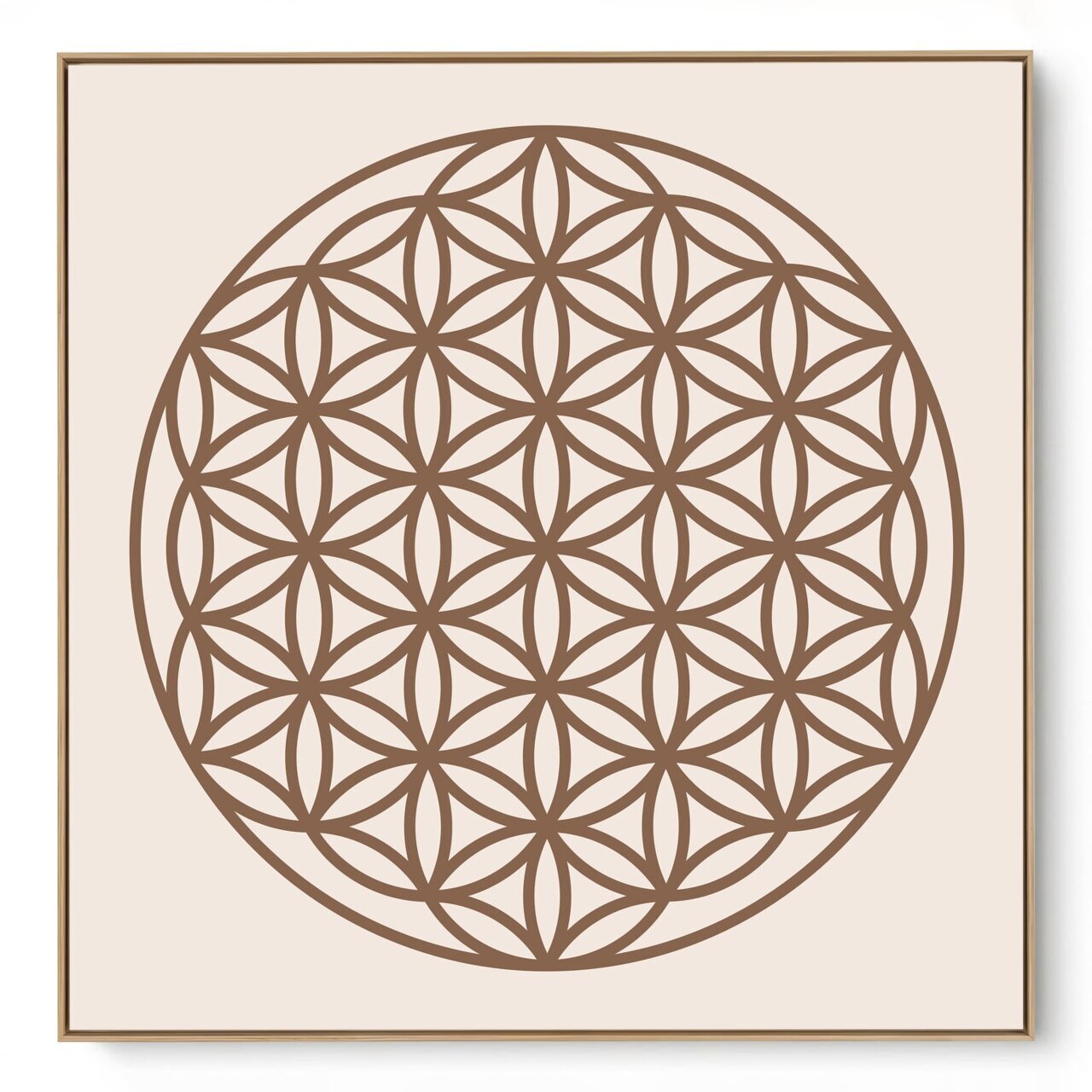 Quadro Decorativo Flor Da Vida I