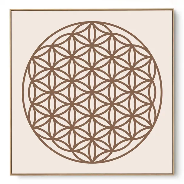 Quadro Decorativo Flor Da Vida I