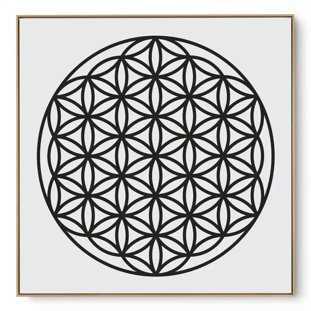 Quadro Decorativo Flor Da Vida II
