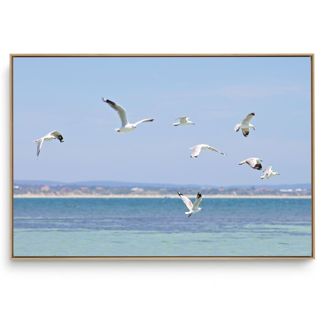 Quadro Decorativo Gaivota