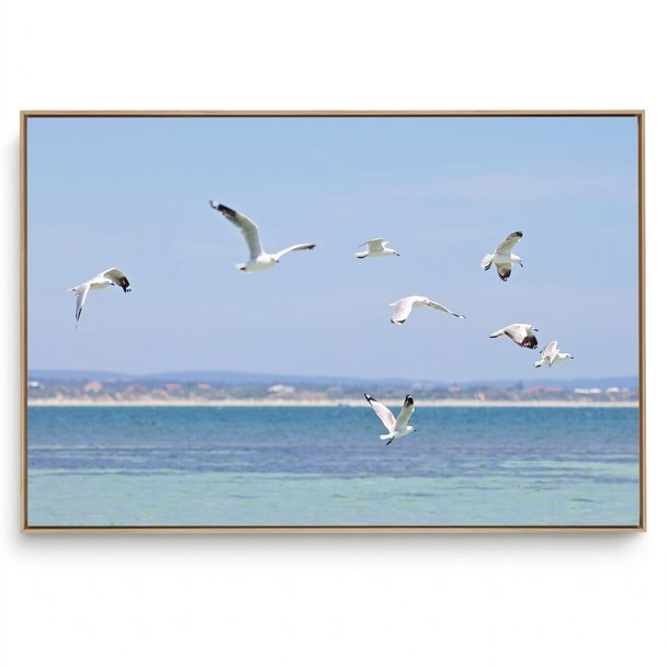 Quadro Decorativo Gaivota