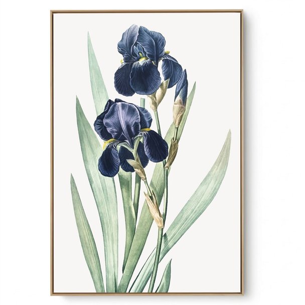 Quadro Decorativo Iris Az I
