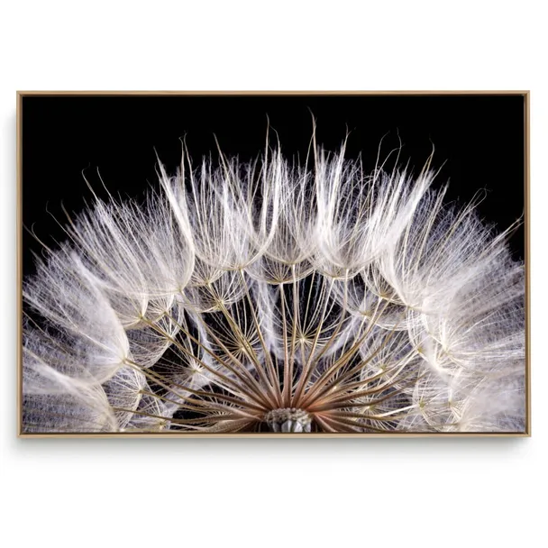 Quadro Decorativo Dente de Leão IV