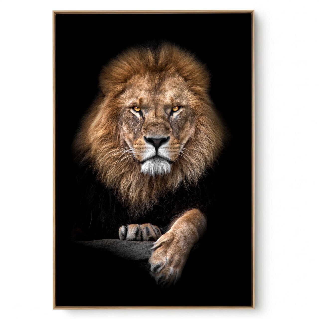 Quadro Decorativo Leão Frontal II