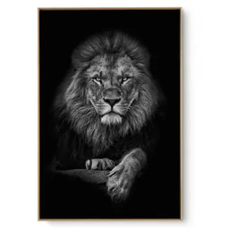 Quadro Decorativo Leão Frontal
