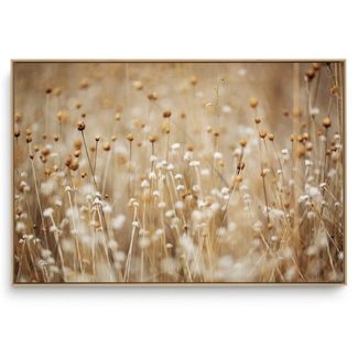 Quadro Decorativo Mini Do Campo H