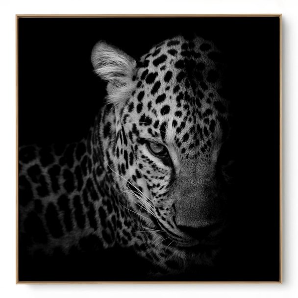Quadro Decorativo Onça IV