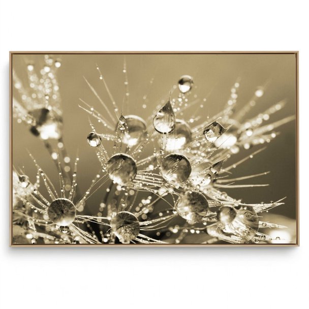 Quadro Decorativo Orvalho Cristal