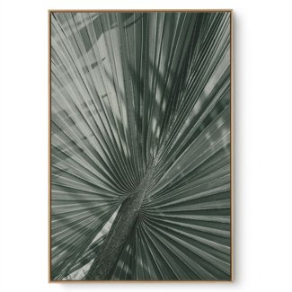 Quadro Decorativo Palha VI