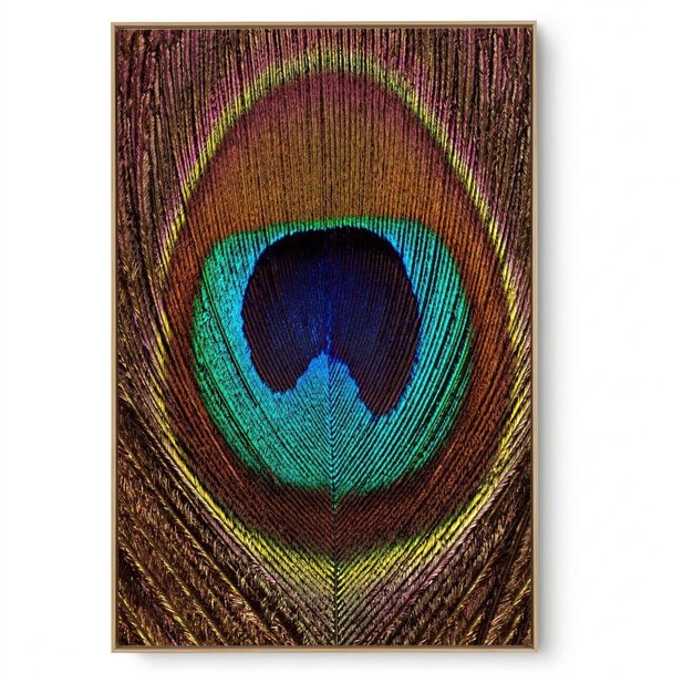 Quadro Decorativo Pavão I